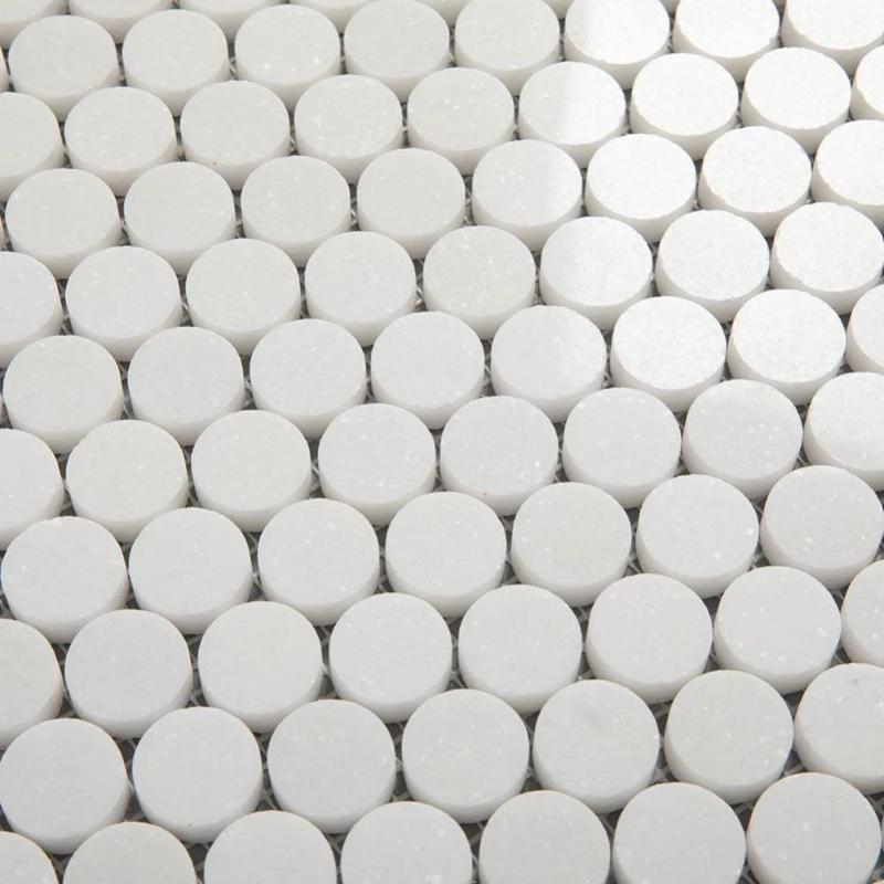 Discover Endless Charm with Penny Round Design Tiles from Onlietileshop.com