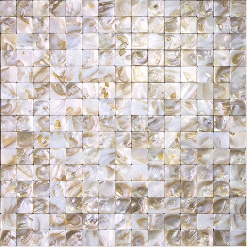 SHELL CAPE ROYAL shell Mosaic Tile.