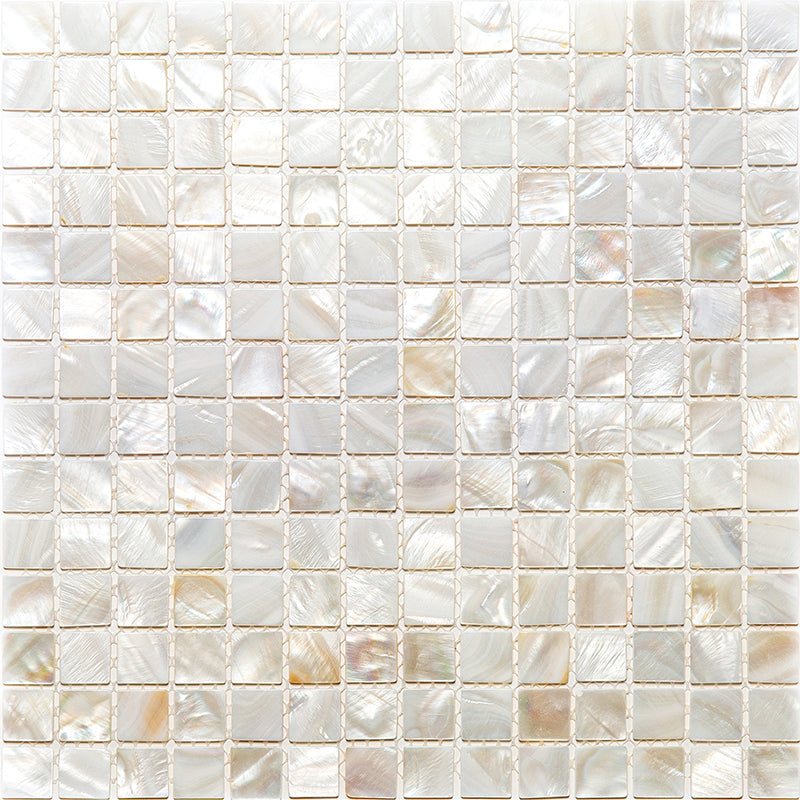 SHELL KEY WEST shell Mosaic Tile.