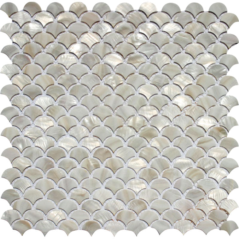 SHELL MALIBU shell Mosaic Tile.