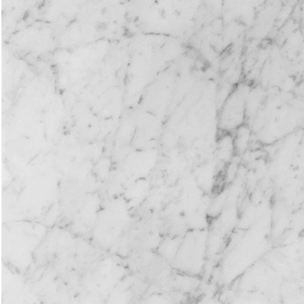 White Carrara Marble 12x12 Honed Tile.